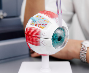 Gefäßverschlüsse im Auge